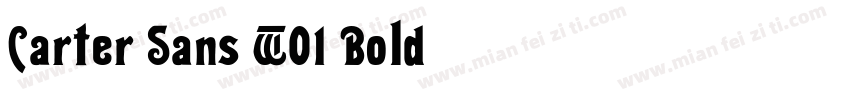 Carter Sans W01 Bold字体转换
